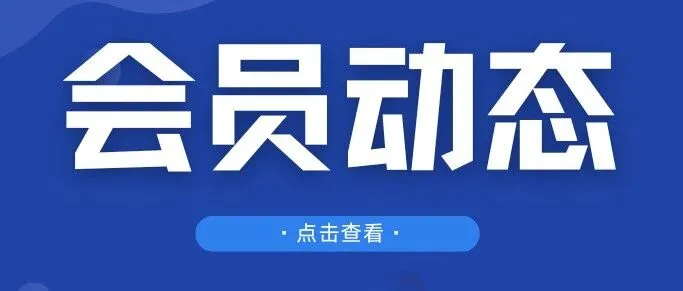 神州控股AI战略落地获媒体点赞