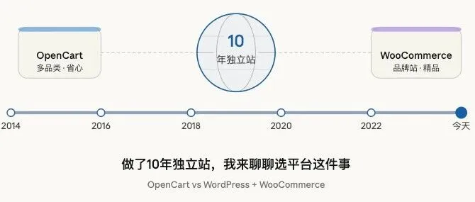做了10年独立站，我来聊聊选平台这件事