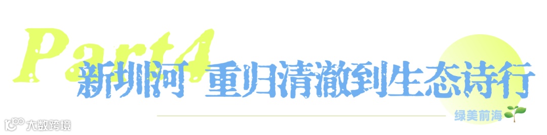 未命名(26) (6).png