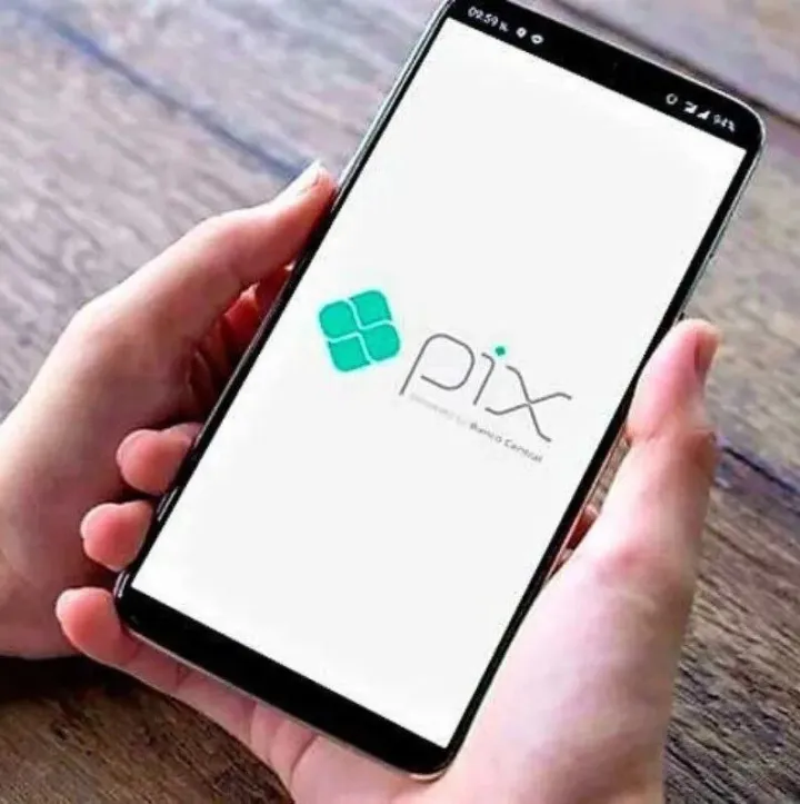 研究顯示：Pix 占線上購物支付份額達(dá) 40%，強(qiáng)力推動巴西線上零售