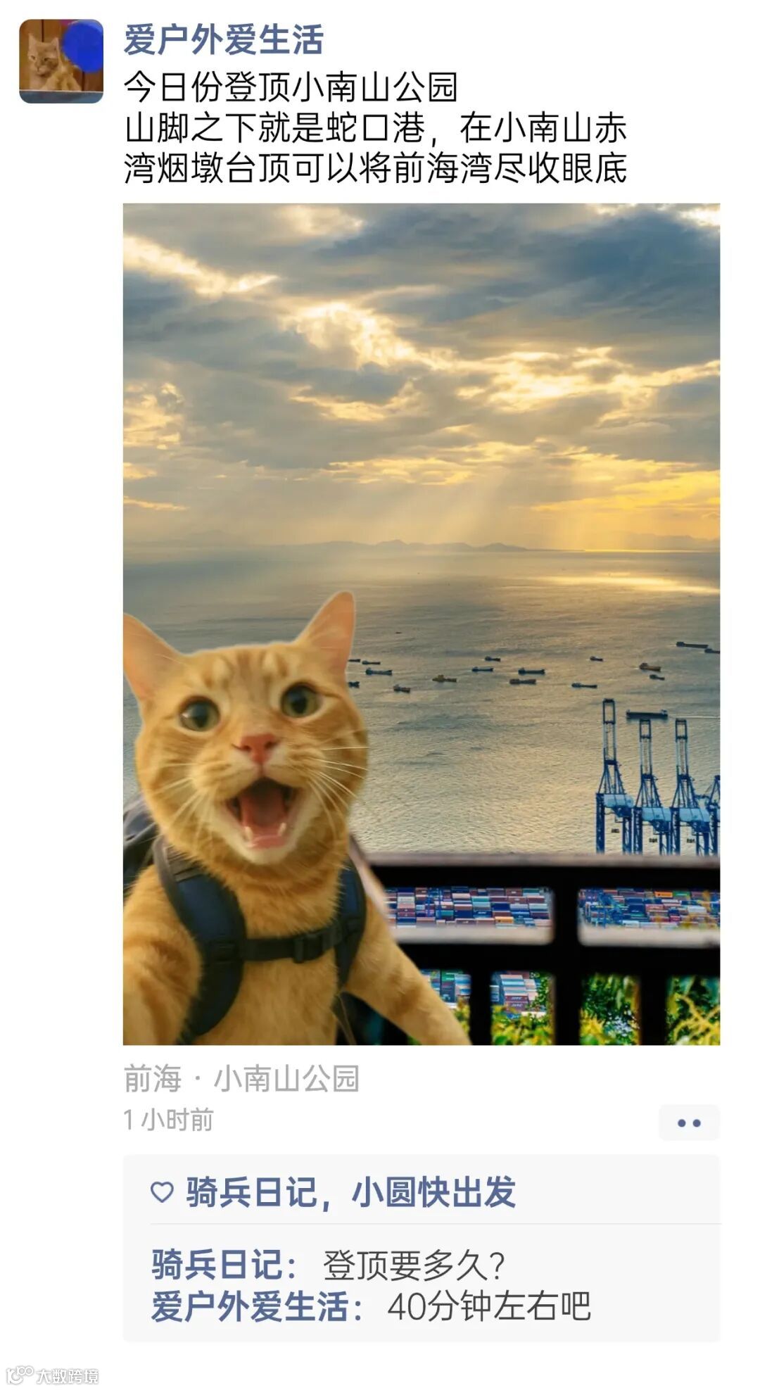 房地产产品营销实景风海报 (7).jpg