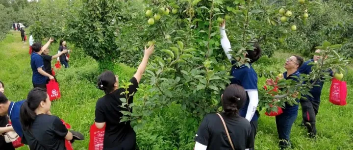 锦州华跃农场采摘团建活动圆满结束