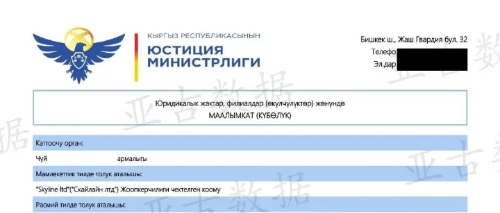 查询吉尔吉斯斯坦公司可以获取什么信息？