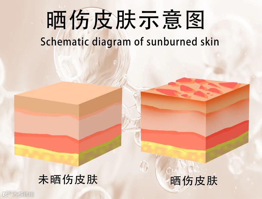 企业微信截图_17542789077945 拷贝(1).jpg