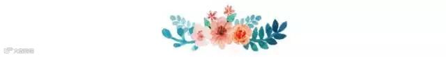鲜花朵朵 分割线