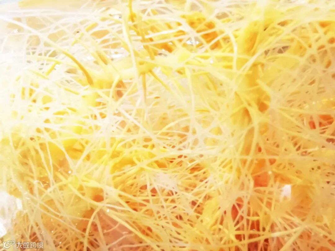 人参不定根 (3）.jpg