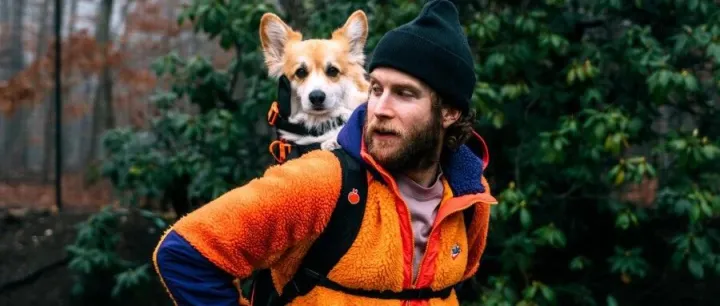 9个月卖出$100万，宠物DTC创业4年只出3个品，但个个爆单