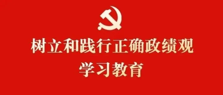 关于树立和践行正确政绩观学习教育征求意见建议的公告