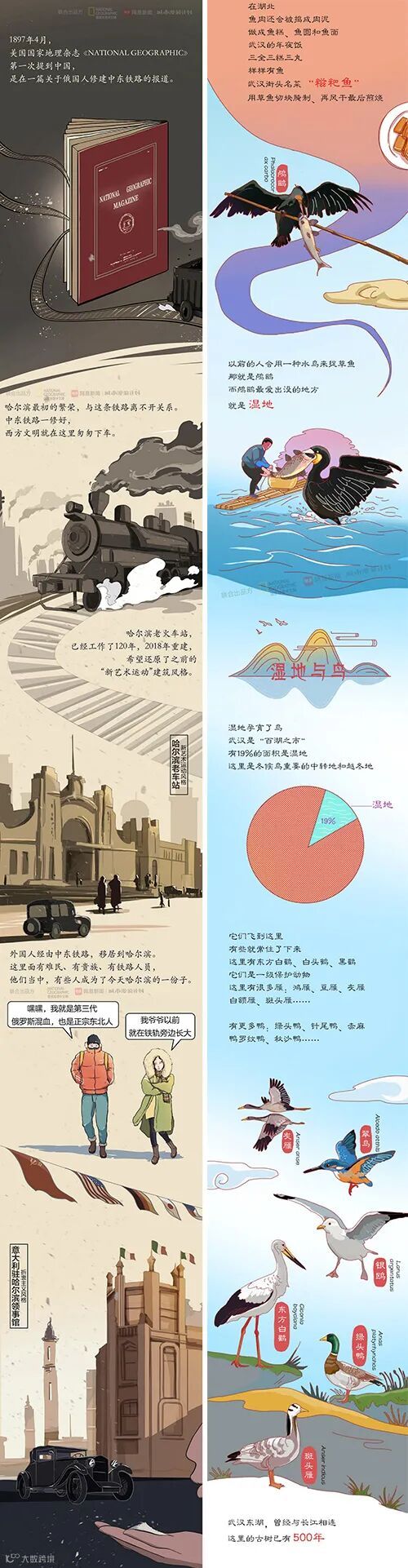 和暴走熊猫漫游成都,看网易文创拆解城市魅力