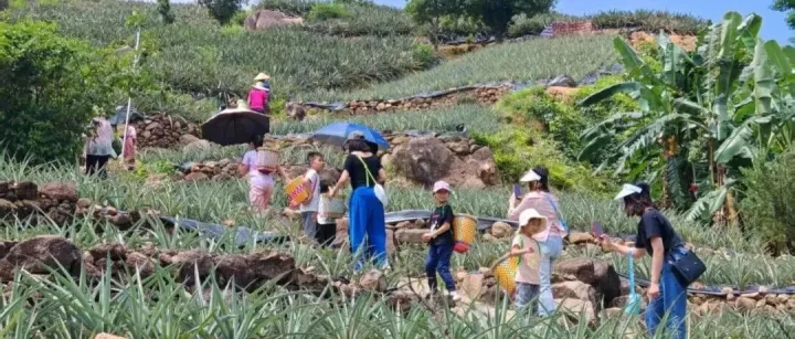 藏在中山的 “花果山”熟了！横栏出发仅需半个钟，赴一场山野之约！