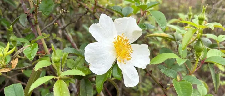 存款500万，亚马逊做的很焦虑