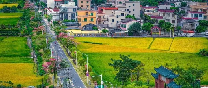 恭喜！横栏这两条村入选省级名单！