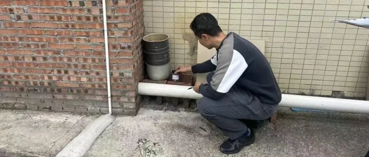 在东凤街头看到它，千万别<em>碰</em>！