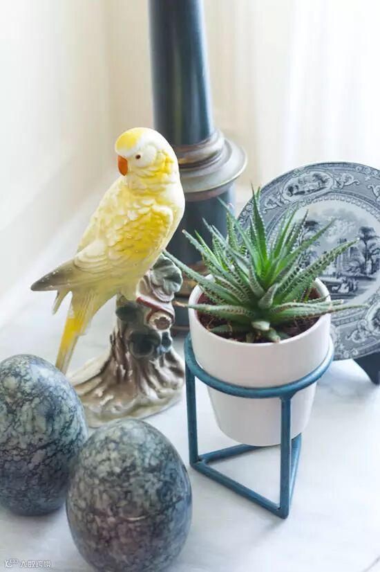 点击图片看下一页