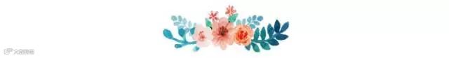 鲜花朵朵 分割线