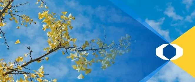 FICC下午茶 | 当低利率成为新常态， 含权债基给出了答案