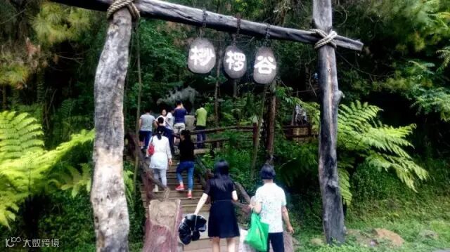 调整大小 39桫椤谷.jpg