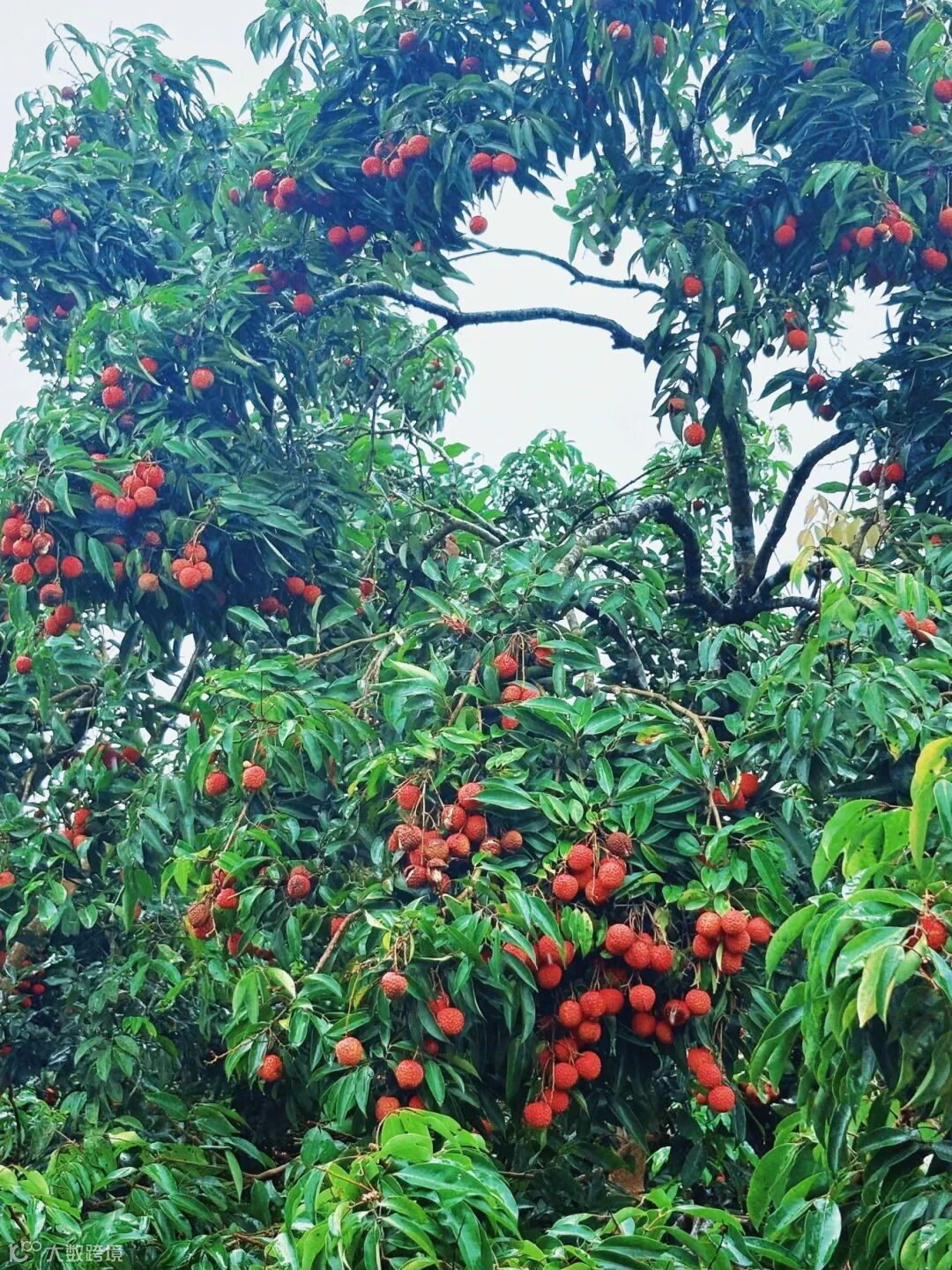 webwxgetmsgimg (4).jpg