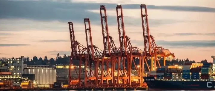 這個(gè)國(guó)家外匯新政落地！4月1日起購(gòu)匯額度減半，海關(guān)嚴(yán)打低報(bào)進(jìn)口