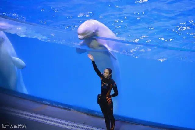 点击查看源网页