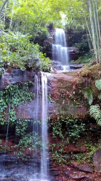 赤水自助游图片