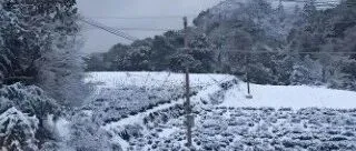 <em>新余</em>要下雪啦！