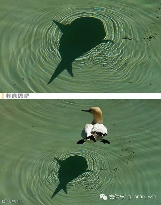 你哭着对我说,照片里都是骗人的_(:зゝ∠)_