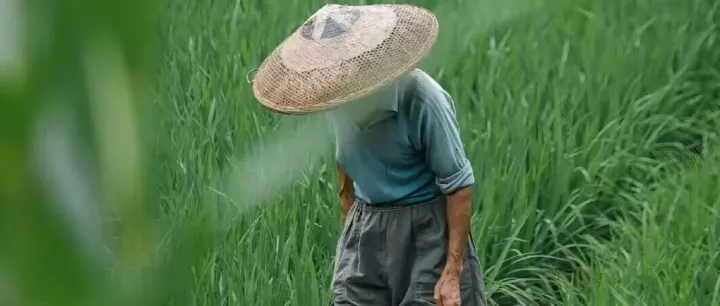 春耕“有机”时！你的私家菜园，从这5步开始