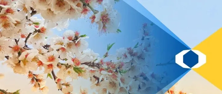 315普法｜中华人民共和国<em>期货</em>和衍生品<em>法</em>