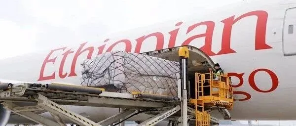 花湖機場連開兩條國際大通道！直飛巴西+意大利，華中貨運再提速