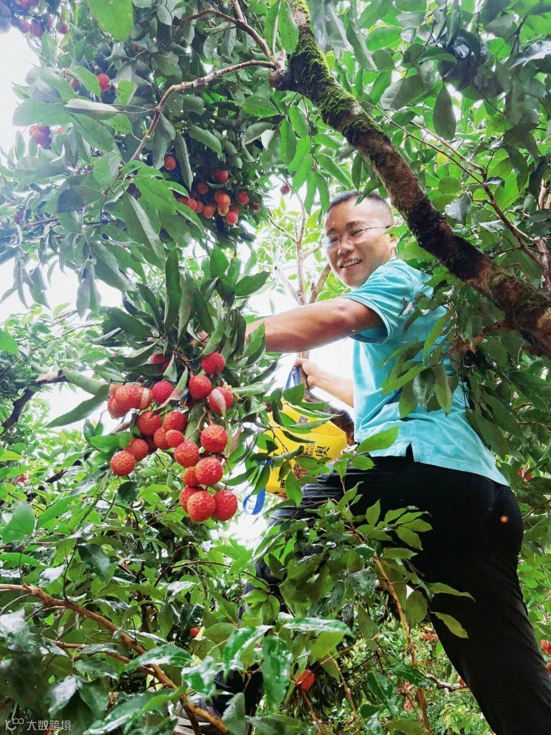 webwxgetmsgimg (3).jpg