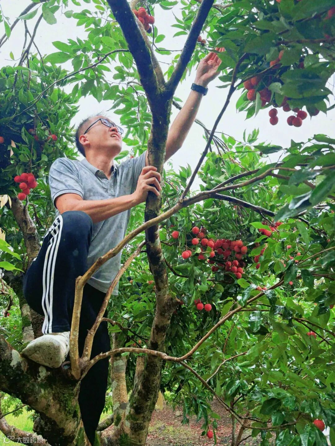 webwxgetmsgimg (5).jpg