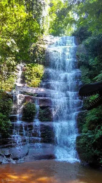 赤水自助游图片