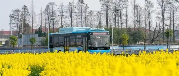 2元！寧波春游專線來了