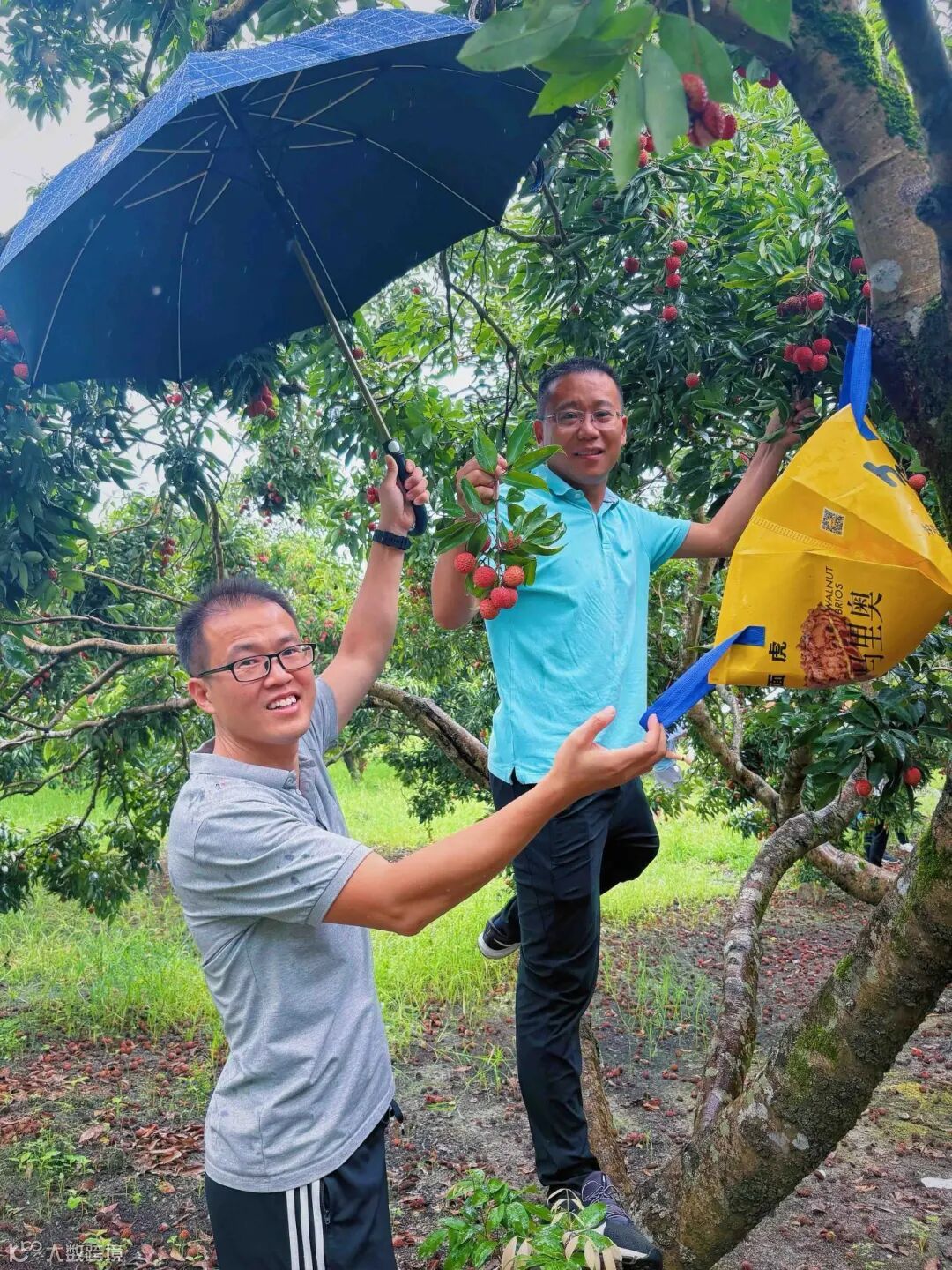 webwxgetmsgimg (1).jpg