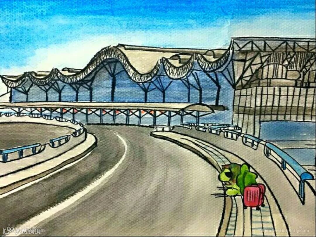 漫话民航 | 你在等你的蛙 我们送它回家436133_