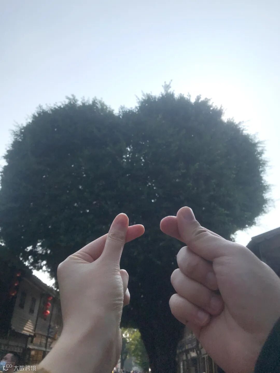 石化供销 官晨星.jpg