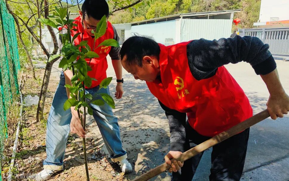 建材控股永定公司+邱文娟+植树添新绿 共筑生态美2.jpg