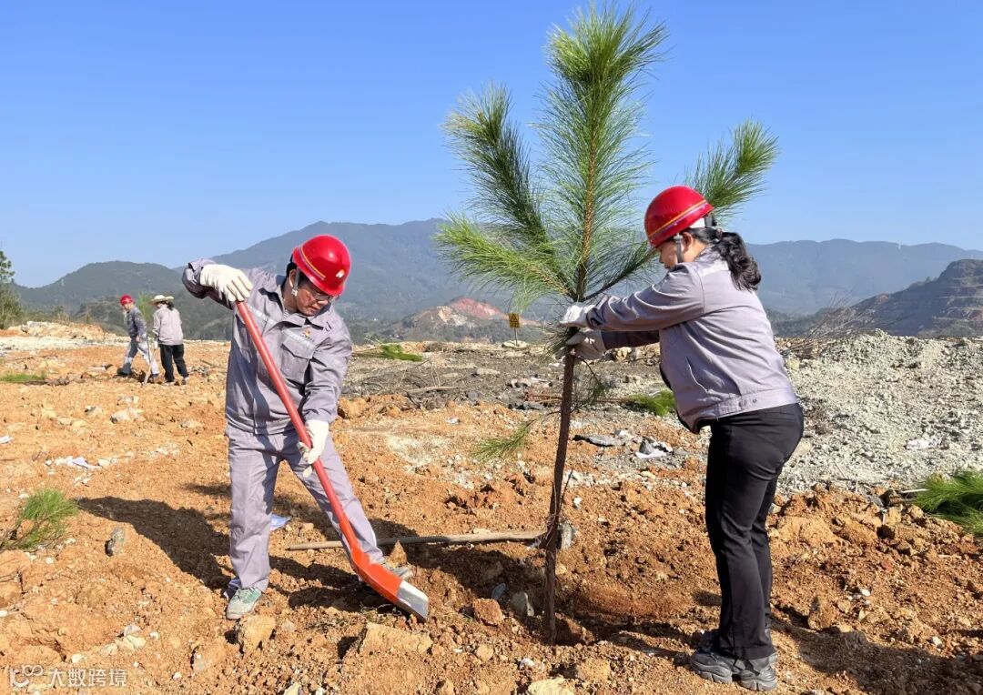(永安建福周聿明) 植绿先锋行，使命映初心-义务植树主题党日活动5.jpg