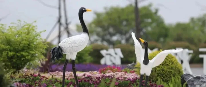 双鹤湖春日限定｜这份春游打卡攻略，带你玩转湖光花色