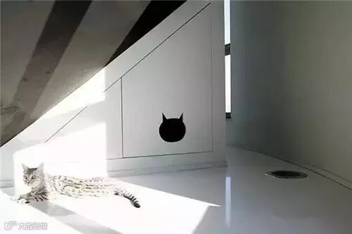 创意︱︳别人家的房子这样装!我怎么没想到?!