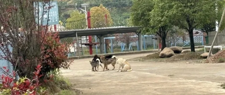 从B端转做C端，C端是好生意？