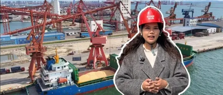 北方糧食第一大港，為什么在營口？| 港口圈