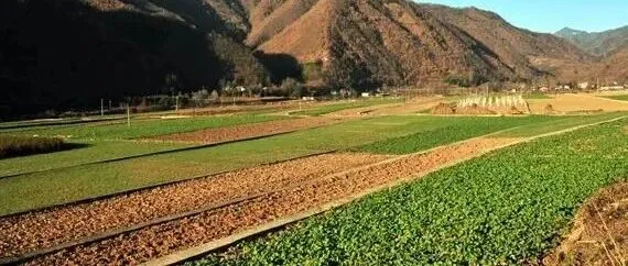 （2026年第9期）廣州市農(nóng)村集體資產(chǎn)交易管理辦法