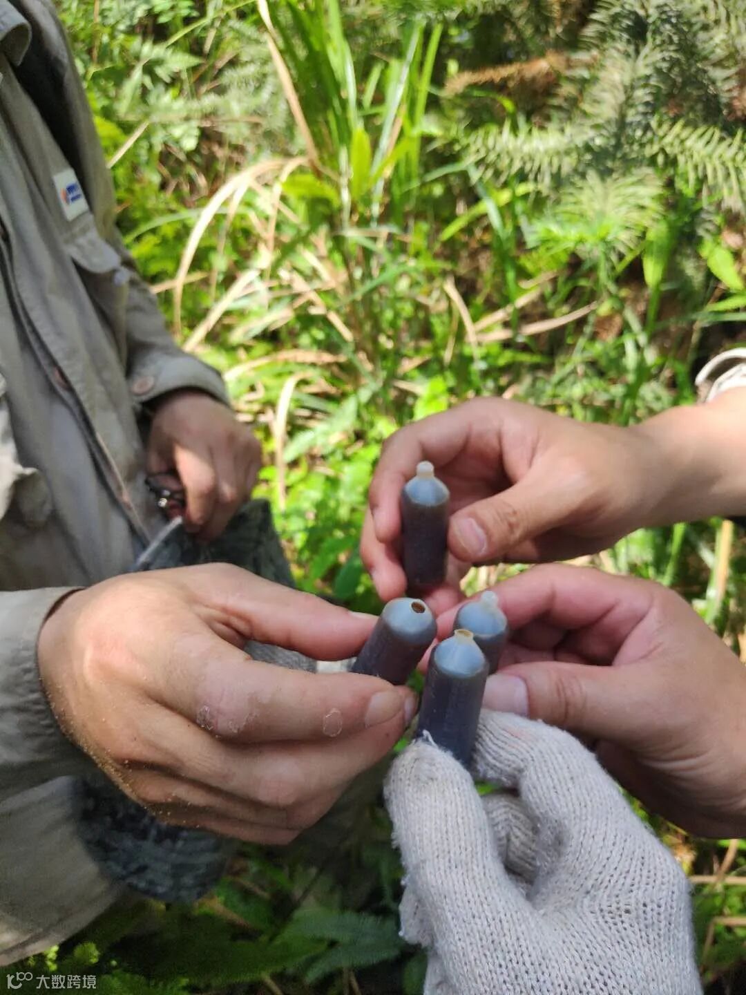 干杯 勘测分公司 魏锦德.jpg