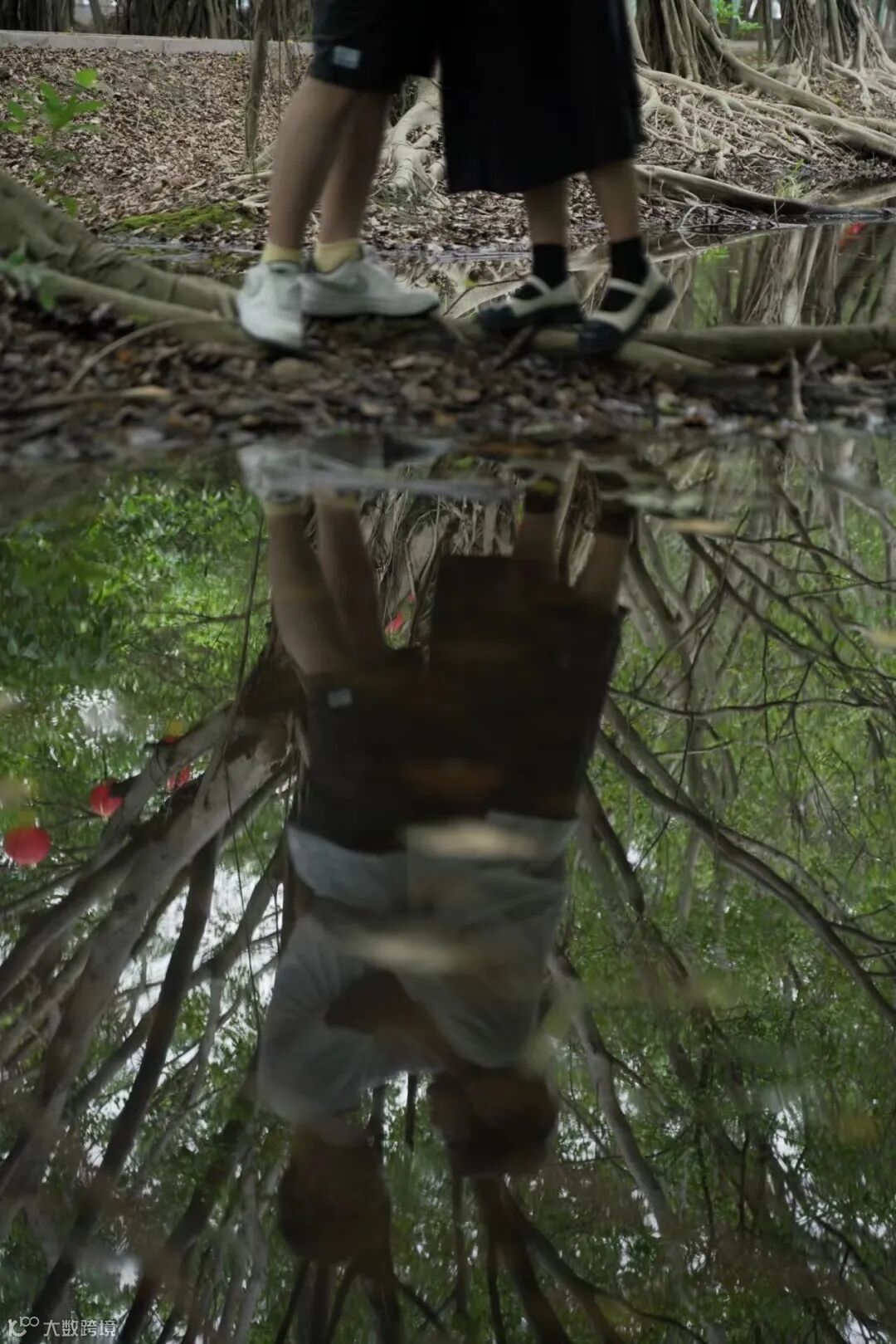 福能新能源 林智伟.jpg