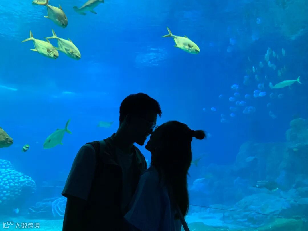 联美公司 陈佳娴.jpg