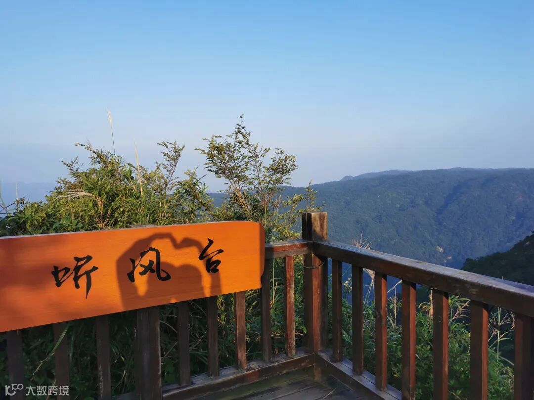 石化供销 秦婷婷.jpg