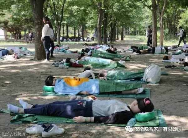 世界最大的睡觉比赛,最晚起的人就是冠军