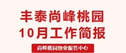 豐泰尚峰桃園10月工作簡報